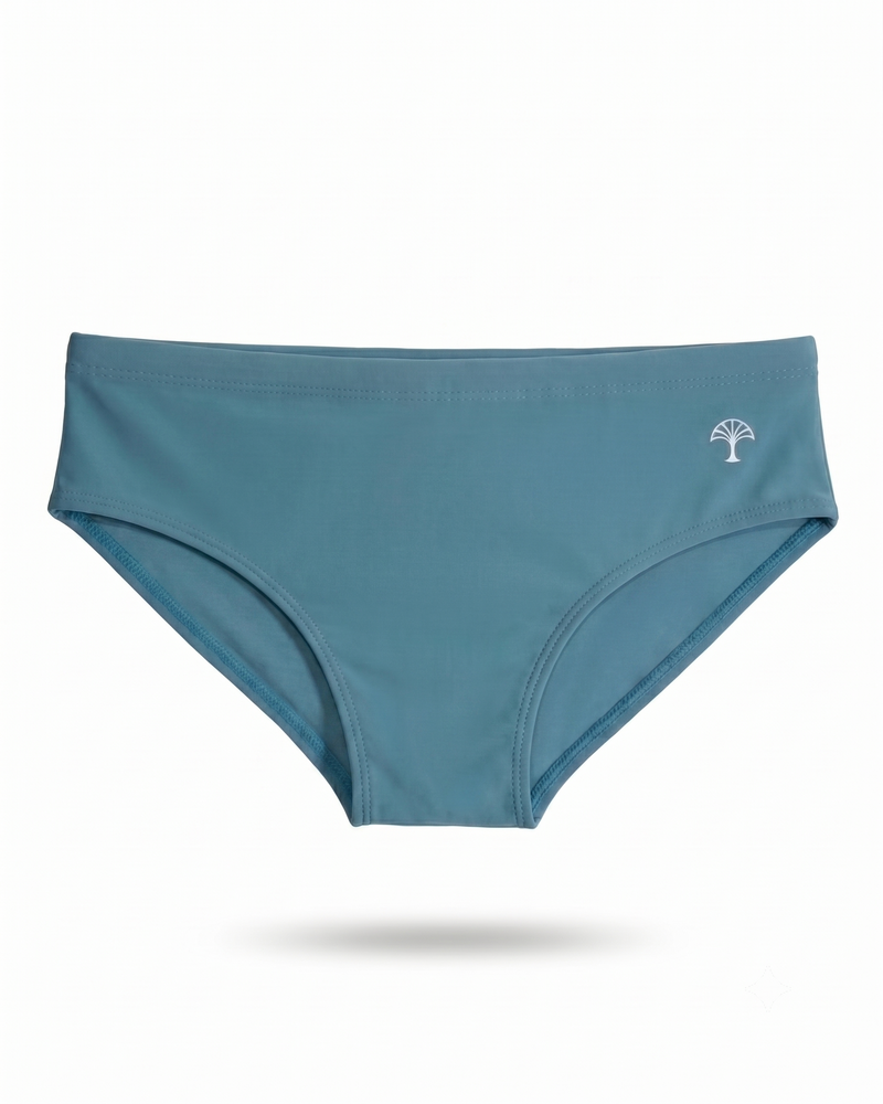 Brief Ocean